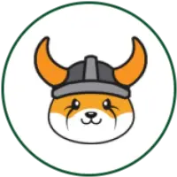 FLOKI