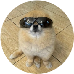 Token image