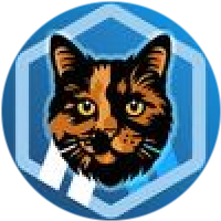 Token image
