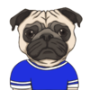 Token image