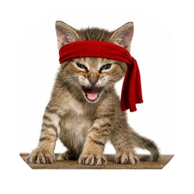 Rambo Kitten Crew