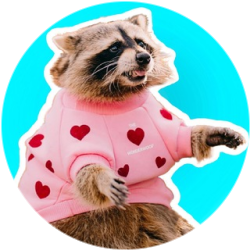 Token image