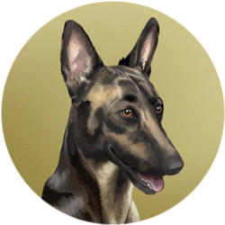 Token image