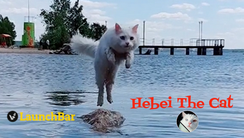 Hebei The Cat Token - $HEBEI