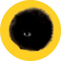 Token image